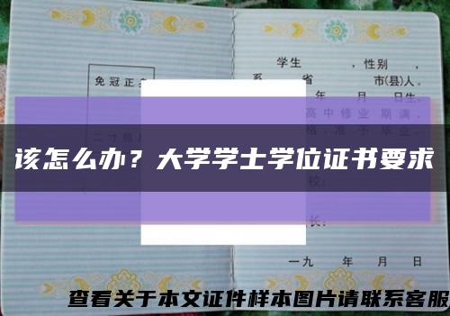 該怎么辦？大學學士學位證書要求縮略圖