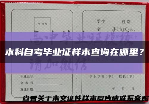 本科自考畢業證樣本查詢在哪里？縮略圖