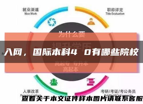入網，國際本科4 0有哪些院?？s略圖