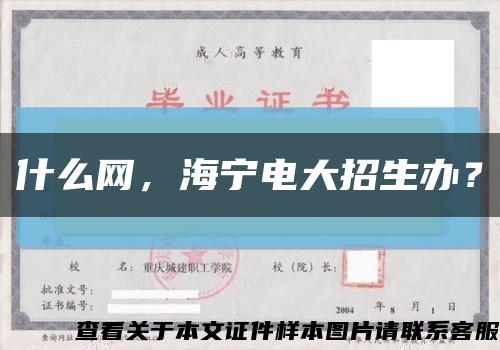 什么網，海寧電大招生辦？縮略圖