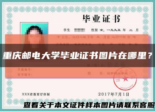 重慶郵電大學畢業證書圖片在哪里？縮略圖