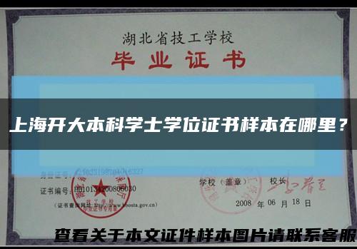 上海開大本科學士學位證書樣本在哪里？縮略圖
