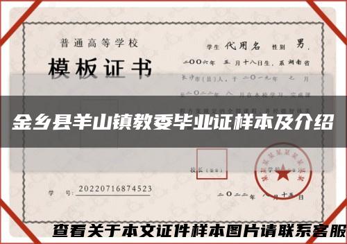 金鄉縣羊山鎮教委畢業證樣本及介紹縮略圖