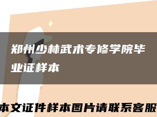 鄭州少林武術專修學院畢業證樣本縮略圖