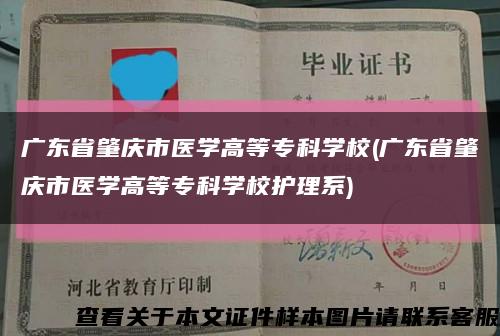 廣東省肇慶市醫學高等?？茖W校(廣東省肇慶市醫學高等?？茖W校護理系)縮略圖