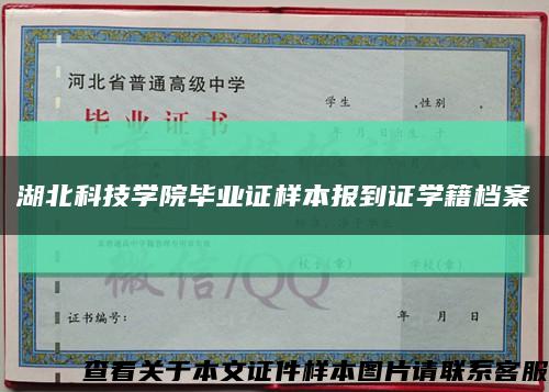 湖北科技學院畢業證樣本報到證學籍檔案縮略圖