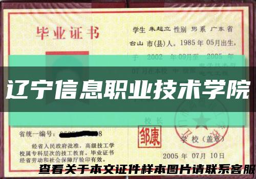 遼寧信息職業技術學院縮略圖