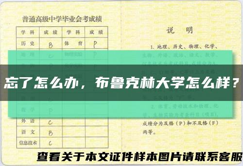 忘了怎么辦，布魯克林大學怎么樣？縮略圖