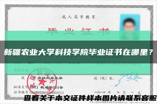 新疆農業大學科技學院畢業證書在哪里？縮略圖