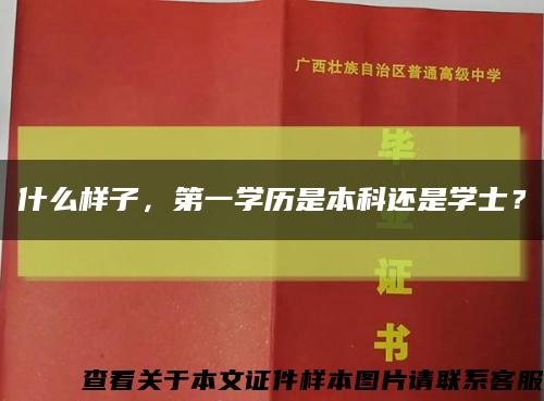 什么樣子，第一學歷是本科還是學士？縮略圖