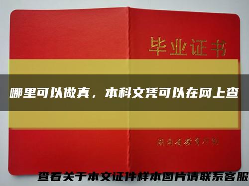 哪里可以做真，本科文憑可以在網上查縮略圖