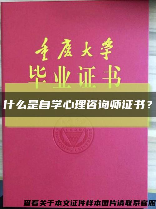 什么是自學心理咨詢師證書？縮略圖