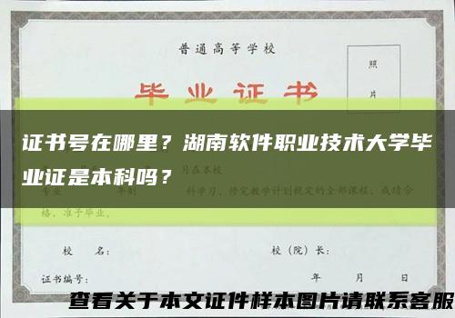 證書號在哪里？湖南軟件職業技術大學畢業證是本科嗎？縮略圖