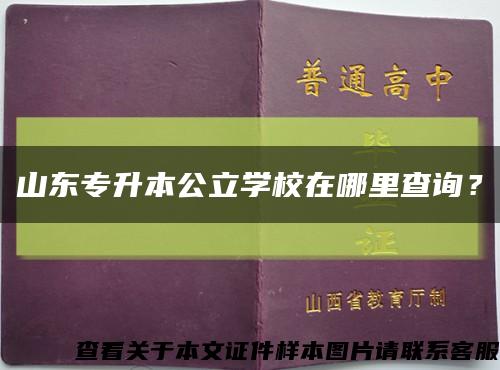 山東專升本公立學校在哪里查詢？縮略圖