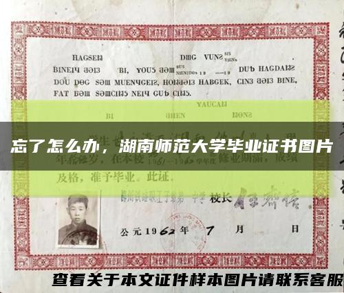忘了怎么辦，湖南師范大學畢業證書圖片縮略圖