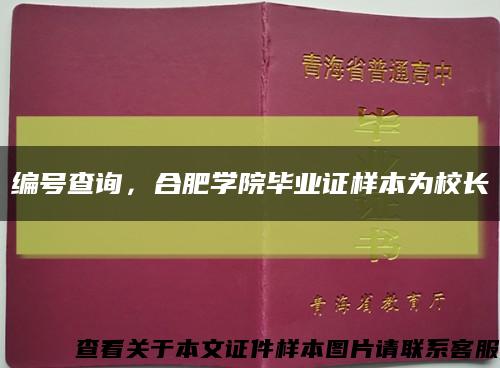 編號查詢，合肥學院畢業證樣本為校長縮略圖