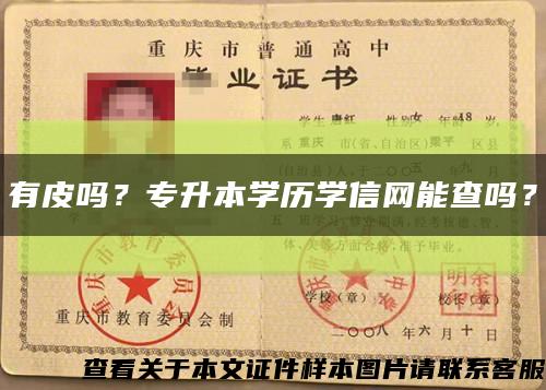 有皮嗎？專升本學歷學信網能查嗎？縮略圖