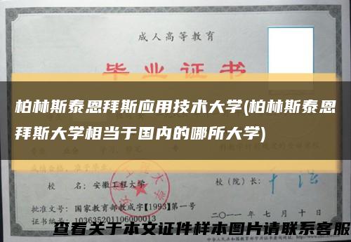 柏林斯泰恩拜斯應用技術大學(柏林斯泰恩拜斯大學相當于國內的哪所大學)縮略圖