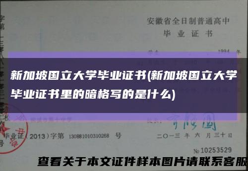 新加坡國立大學畢業證書(新加坡國立大學畢業證書里的暗格寫的是什么)縮略圖