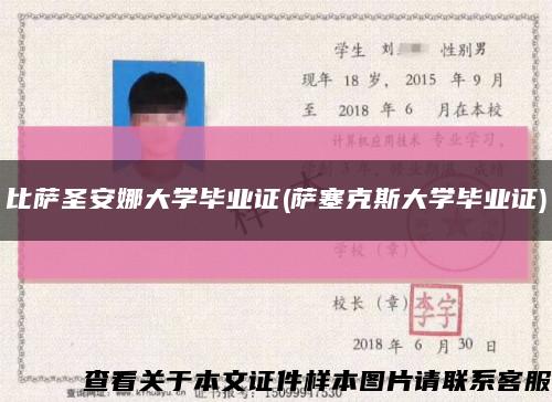 比薩圣安娜大學畢業證(薩塞克斯大學畢業證)縮略圖
