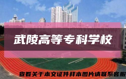 武陵高等?？茖W?？s略圖