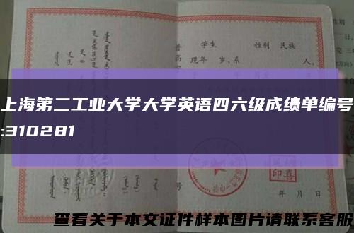 上海第二工業大學大學英語四六級成績單編號:310281縮略圖