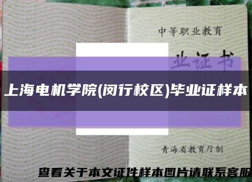 上海電機學院(閔行校區)畢業證樣本縮略圖