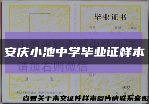 安慶小池中學畢業證樣本縮略圖