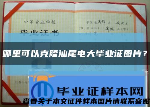 哪里可以克隆汕尾電大畢業證圖片？縮略圖