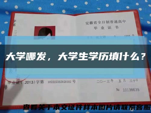 大學哪發，大學生學歷填什么？縮略圖