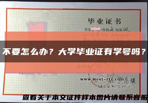 不要怎么辦？大學畢業證有學號嗎？縮略圖