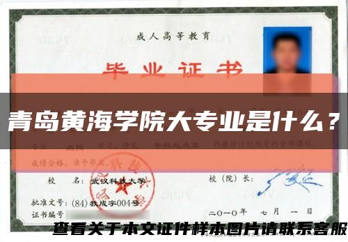 青島黃海學院大專業是什么？縮略圖