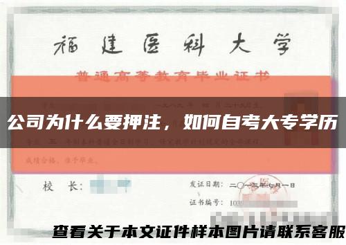 公司為什么要押注，如何自考大專學歷縮略圖