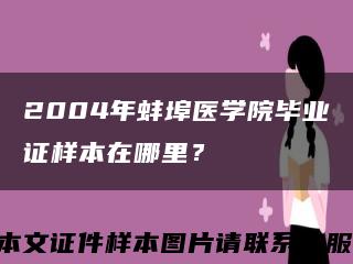 2004年蚌埠醫學院畢業證樣本在哪里？縮略圖