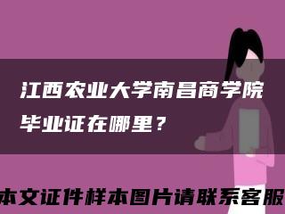 江西農業大學南昌商學院畢業證在哪里？縮略圖