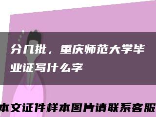 分幾批，重慶師范大學畢業證寫什么字縮略圖