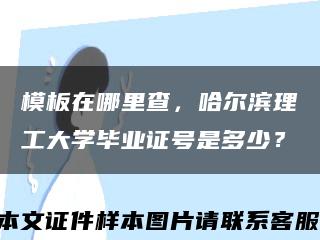 模板在哪里查，哈爾濱理工大學畢業證號是多少？縮略圖