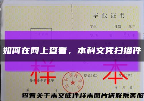 如何在網上查看，本科文憑掃描件縮略圖
