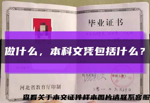 做什么，本科文憑包括什么？縮略圖