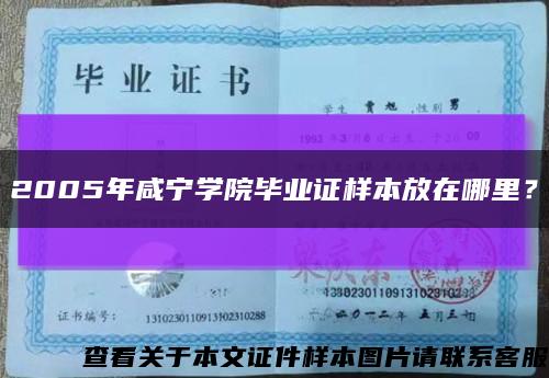 2005年咸寧學院畢業證樣本放在哪里？縮略圖