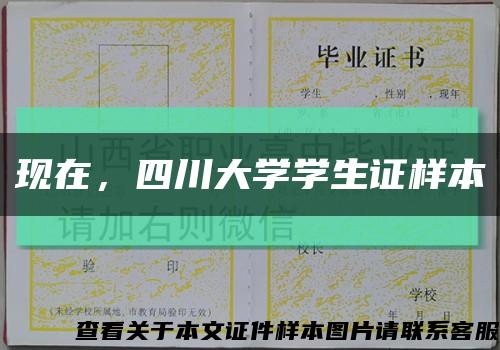 現在，四川大學學生證樣本縮略圖