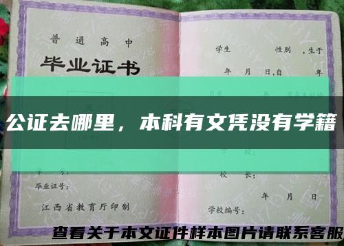 公證去哪里，本科有文憑沒有學籍縮略圖