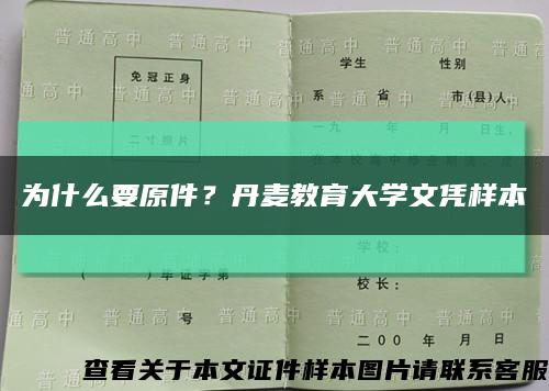 為什么要原件？丹麥教育大學文憑樣本縮略圖