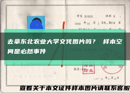 去拿東北農業大學文憑圖片嗎？ 樣本空間是必然事件縮略圖