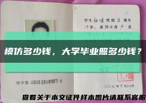 模仿多少錢，大學畢業照多少錢？縮略圖