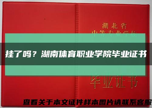 掛了嗎？湖南體育職業學院畢業證書縮略圖