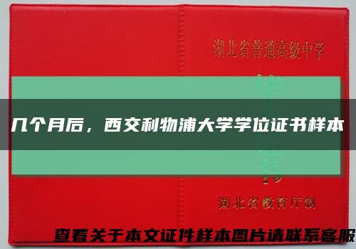 幾個月后，西交利物浦大學學位證書樣本縮略圖