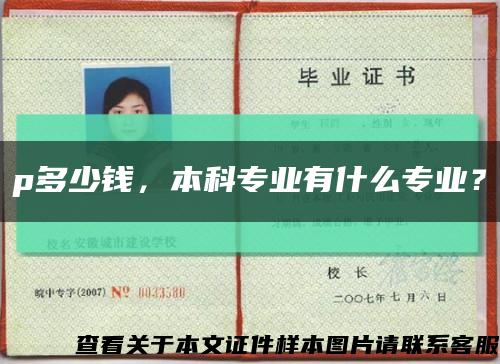 p多少錢，本科專業有什么專業？縮略圖