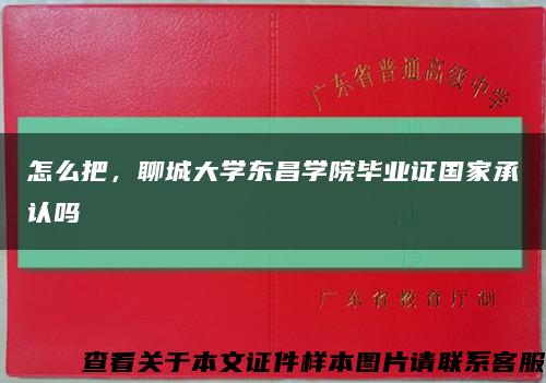 怎么把，聊城大學東昌學院畢業證國家承認嗎縮略圖