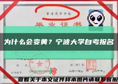 為什么會變黃？寧波大學自考報名縮略圖